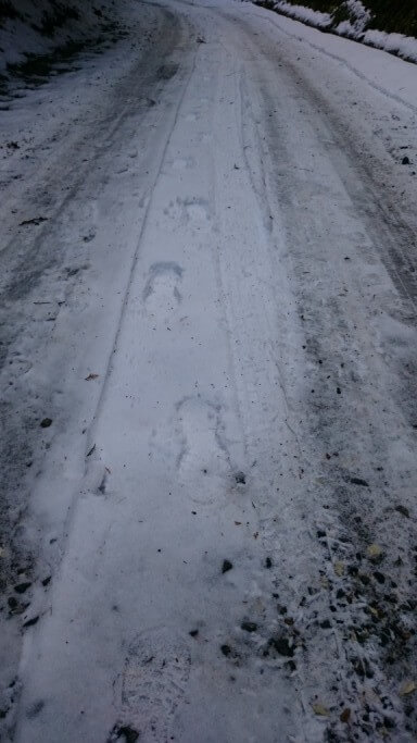 鴇田峠 頂上 舗装路 積雪 凍結