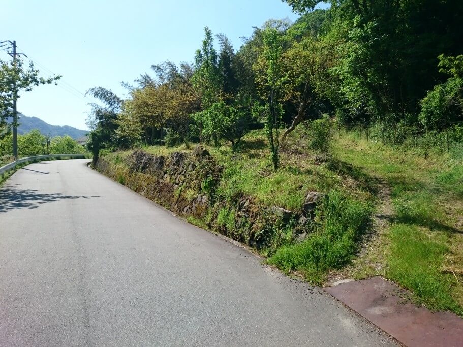 大瀧寺への道