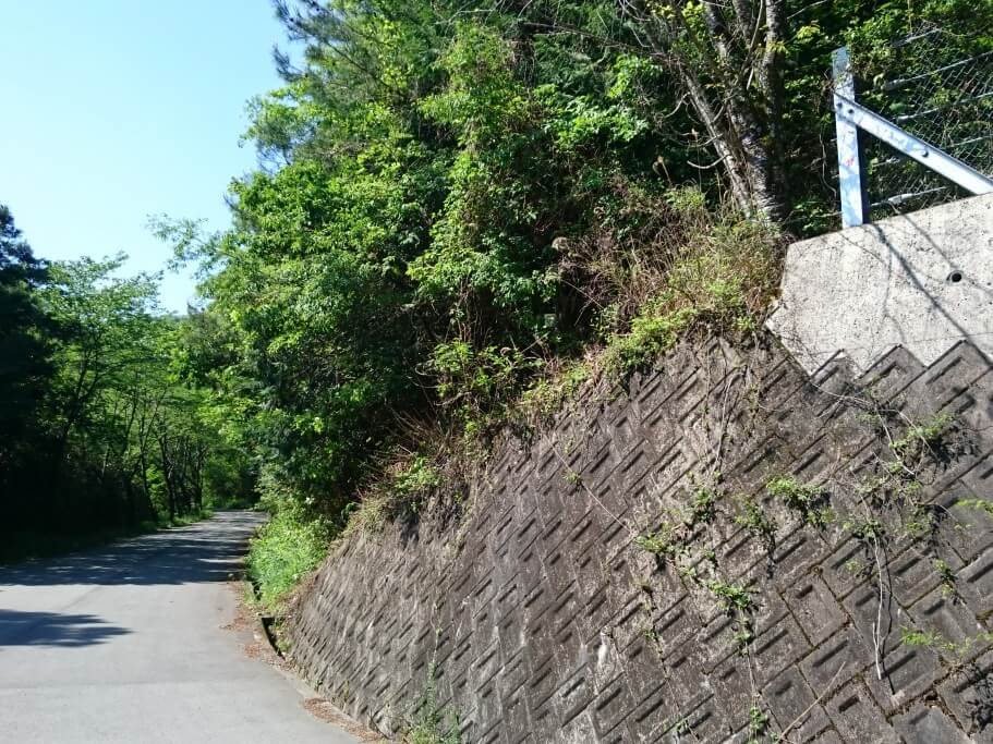 大瀧寺への道 道しるべ