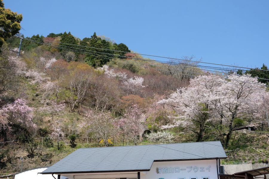 箸蔵登山鉄道跡