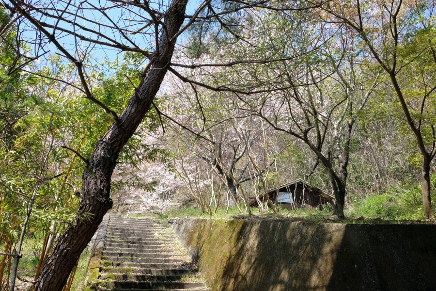 箸蔵山 リフト乗り場痕跡