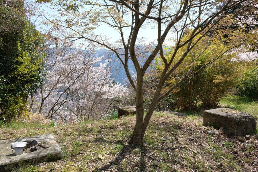 箸蔵山 登山リフト跡