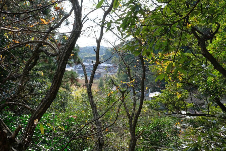 古目峠古道 高知県側 木々の間から見える甲浦集落