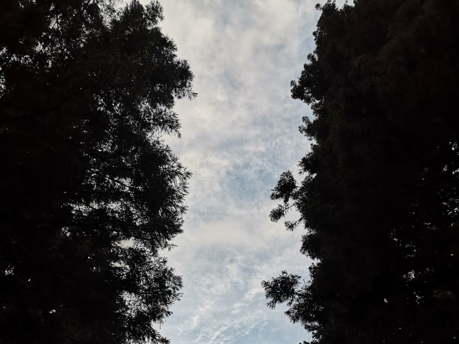 ミニベロ遍路 大寶寺の空