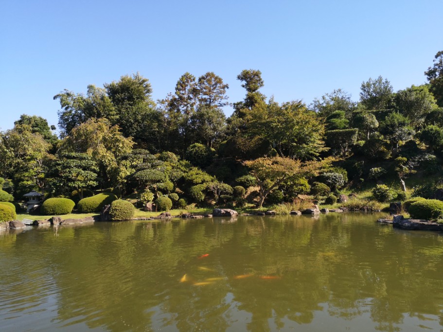 郷照寺 日本庭園