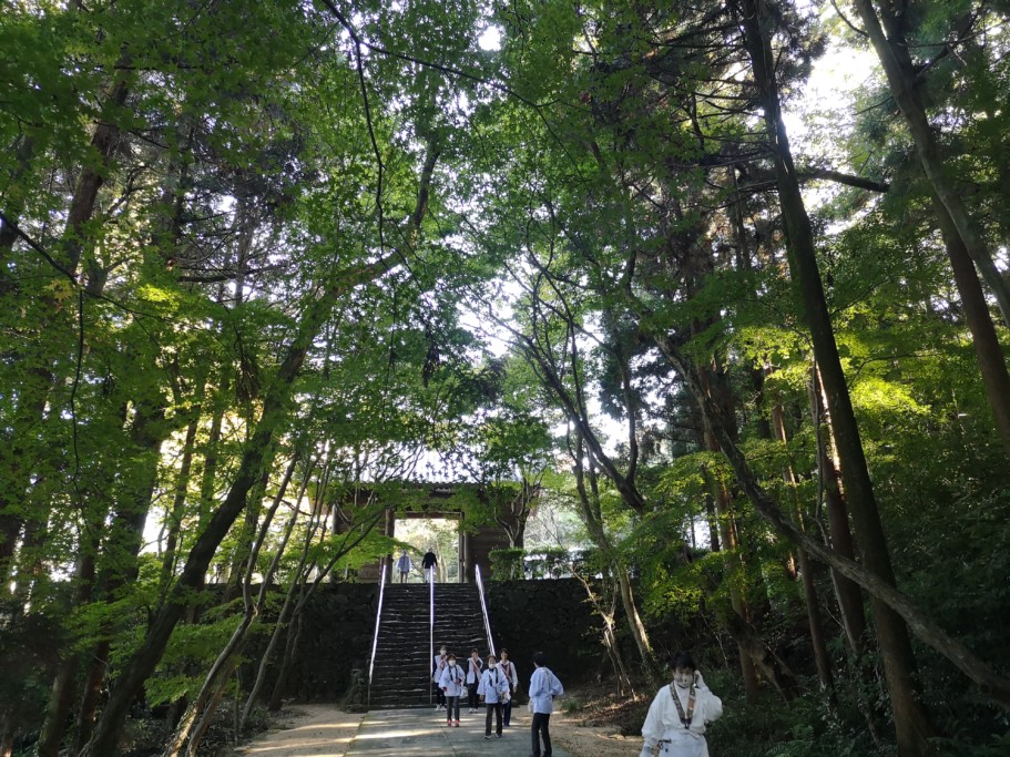 根来寺の緑