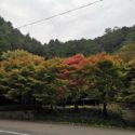 ミニベロ遍路 大窪寺道中