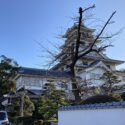 今治城