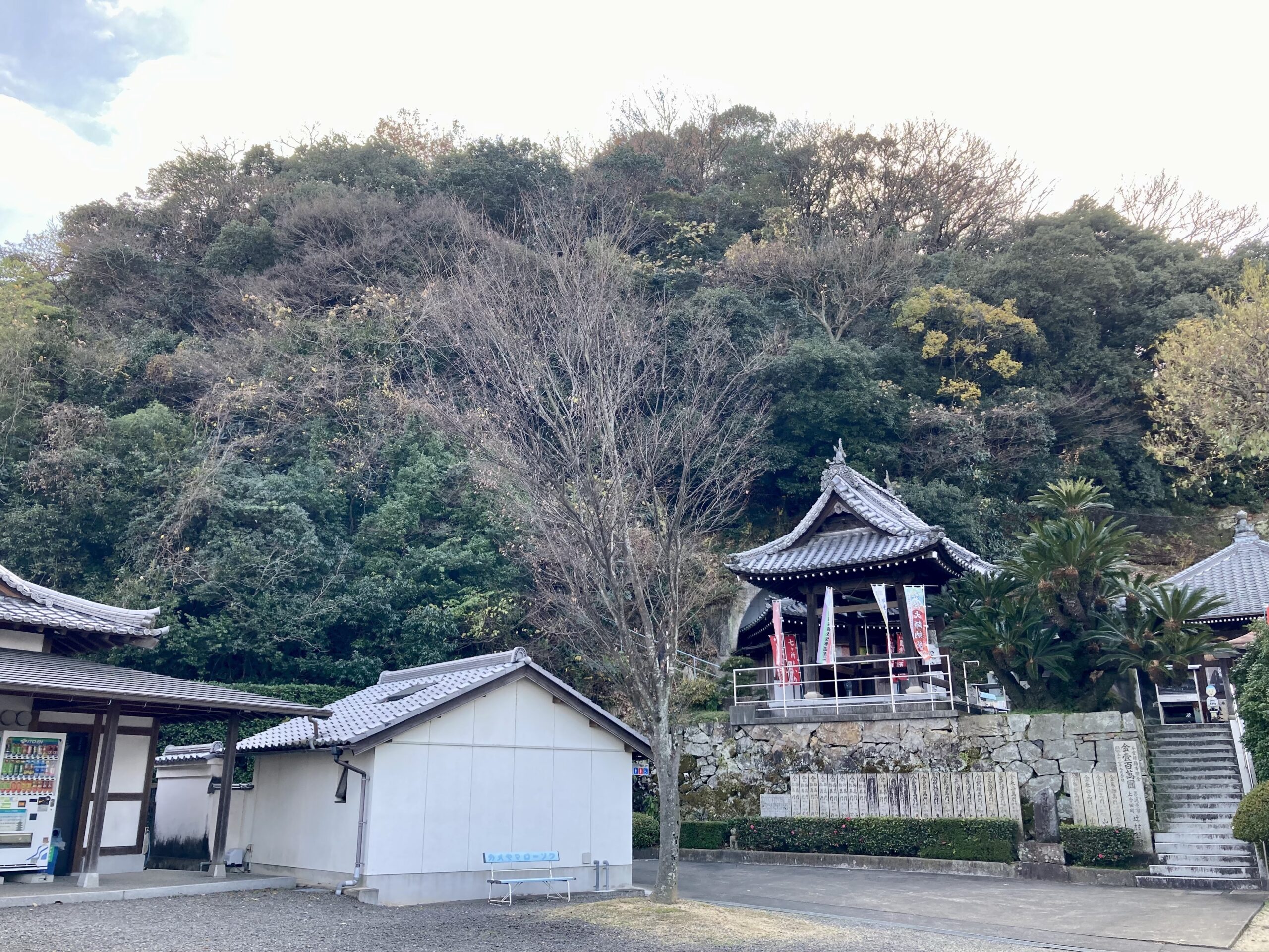 甲山寺の甲山