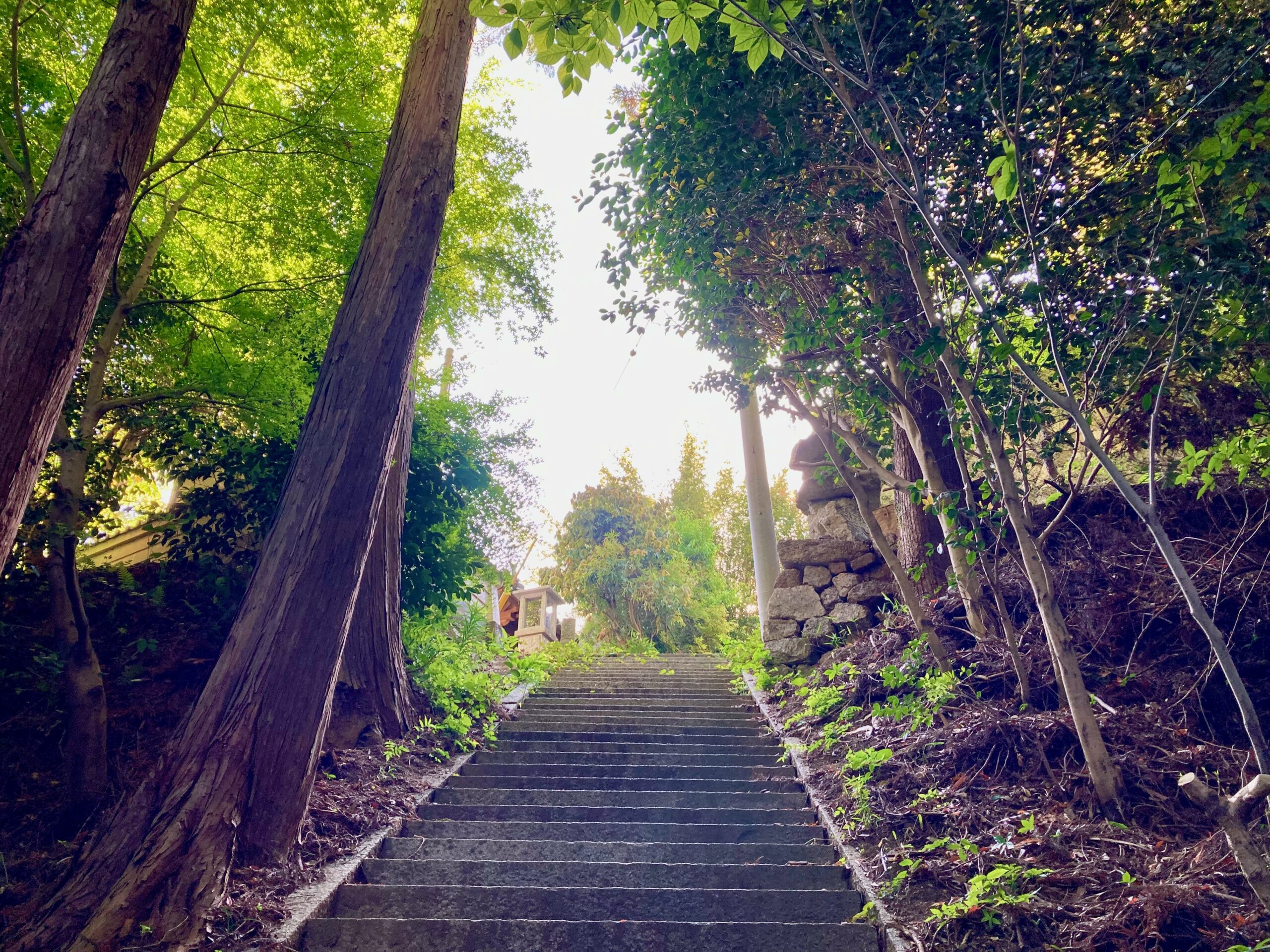 取星寺への階段