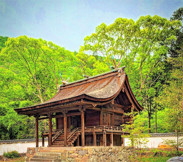 神谷神社】香川県内で現存最古の建築物とされる檜皮葺の本殿は国宝