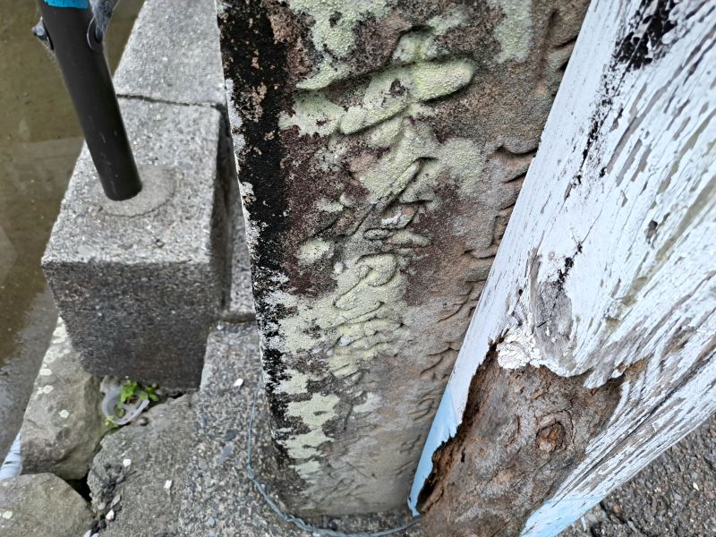 23番札所薬王寺門前の中務茂兵衛標石_裏面
