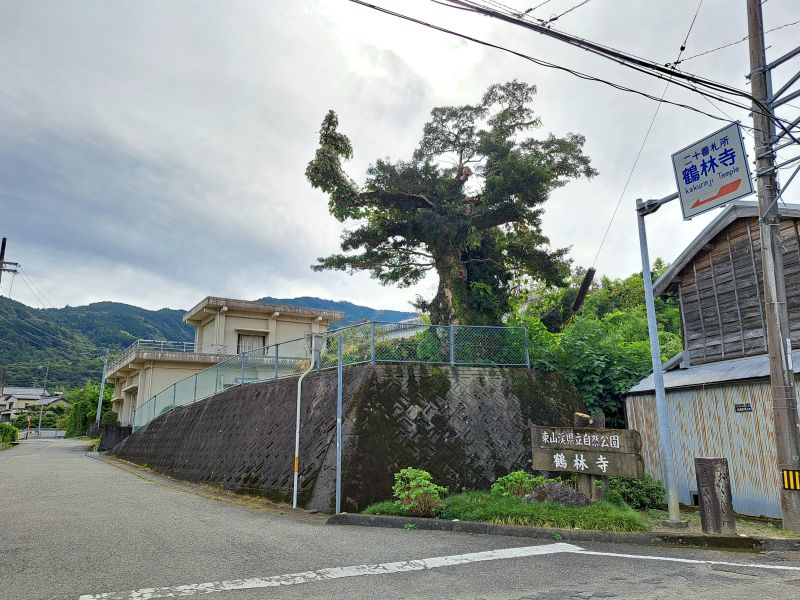 現代の20番札所鶴林寺車道登山口にある標石_立地