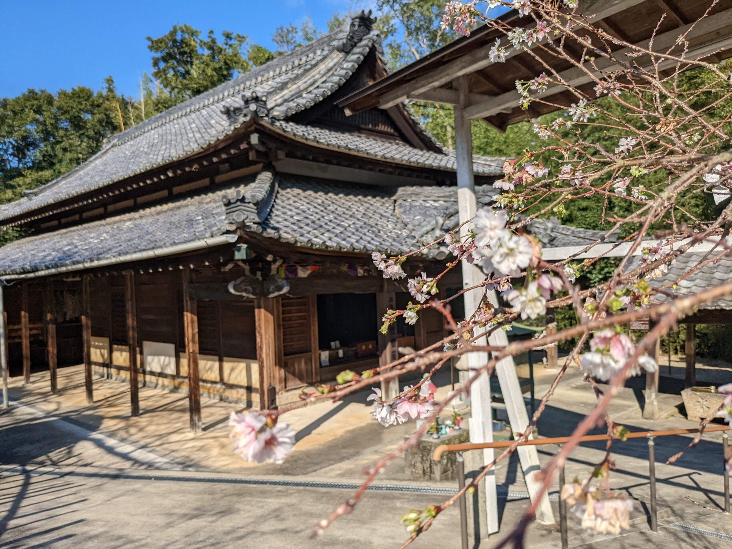 知多四国霊場70番札所地蔵寺】美しい大日如来像と伝説の延命地蔵 - 四国遍路情報サイト「四国遍路」