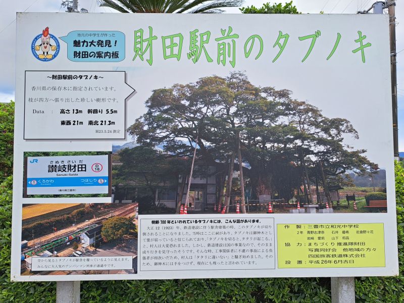 讃岐財田駅_タブノキ_案内看板