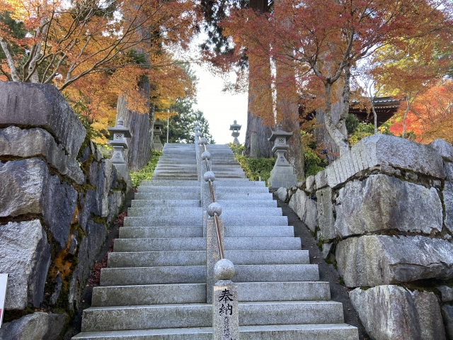 雲辺寺_紅葉_石段参道