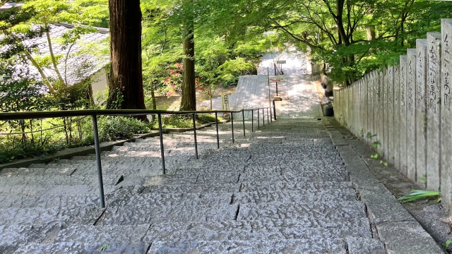 白峯寺_紅葉_石段