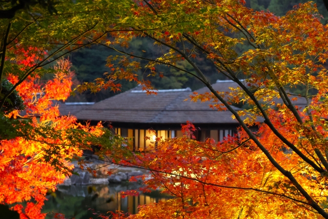 栗林公園_紅葉_ライトアップ_南庭