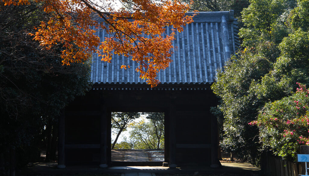 屋島_紅葉_屋島寺山門