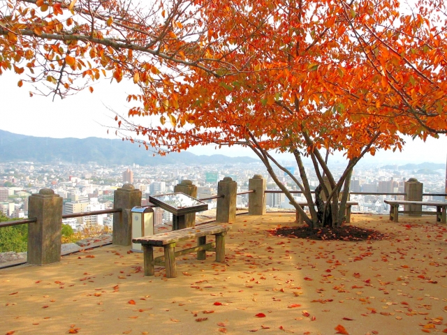 松山城_紅葉_本丸_松山市街地