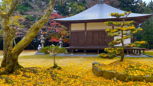 箸蔵寺_紅葉_大師堂