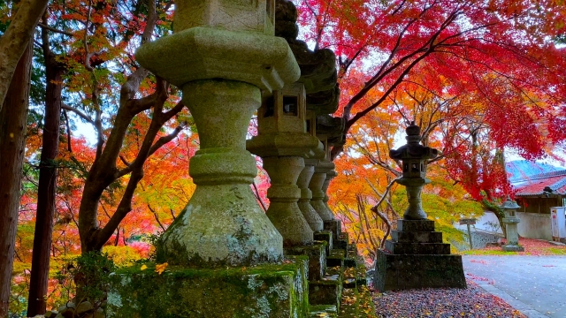 箸蔵寺_紅葉_参道