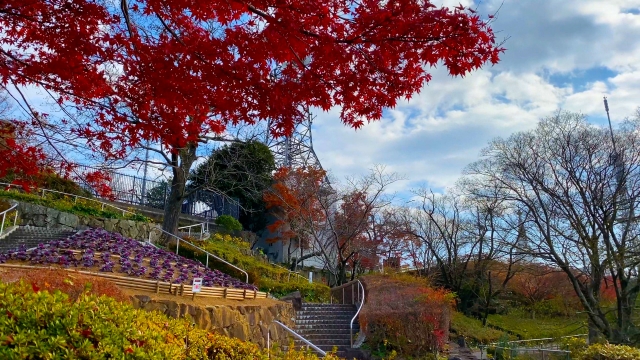 眉山_紅葉_眉山公園_カエデ