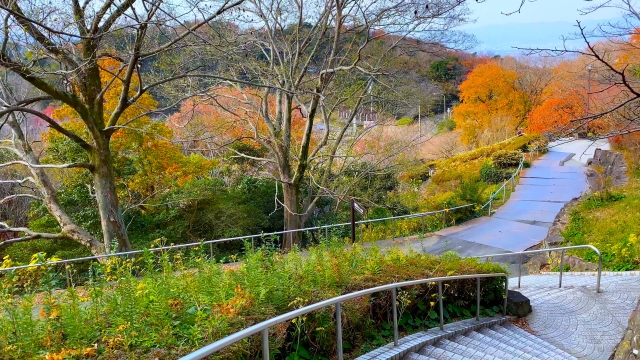 眉山_紅葉_眉山公園_遊歩道