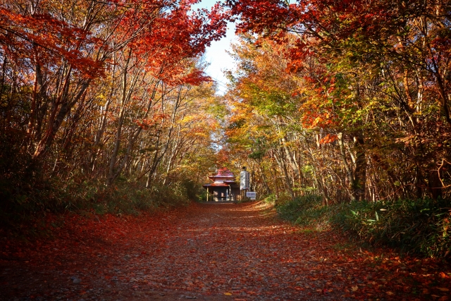 石鎚山_紅葉_中宮成就社