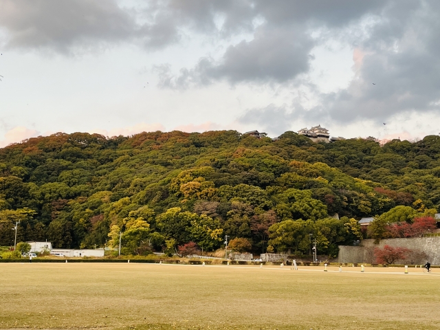 松山城_紅葉_城山公園_城山