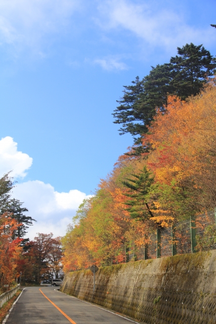 石鎚山_紅葉_石鎚スカイライン