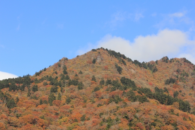 石鎚山_紅葉_遠景