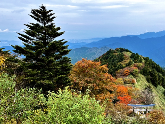 石鎚山_紅葉_鳥居