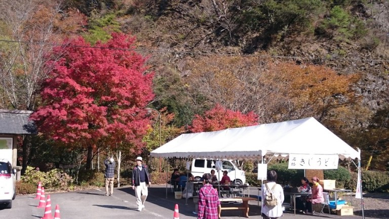 古岩屋_紅葉_きじうどん