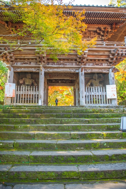 竹林寺_紅葉_山門