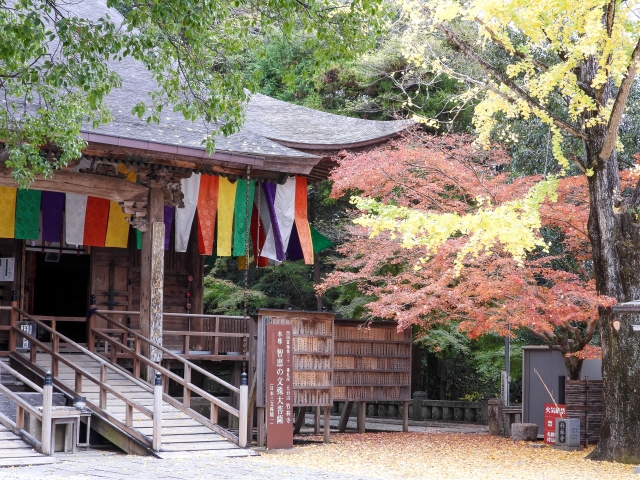 竹林寺_紅葉_本堂