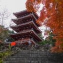 竹林寺_紅葉_五重塔