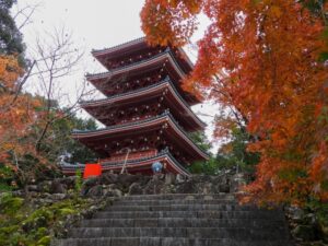 竹林寺_紅葉_五重塔