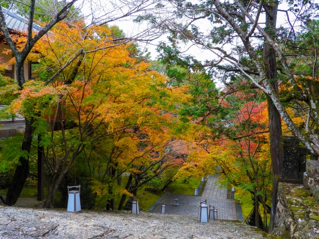 竹林寺_紅葉_参道