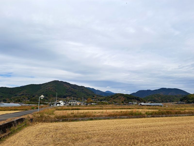 札掛_篠山遠景