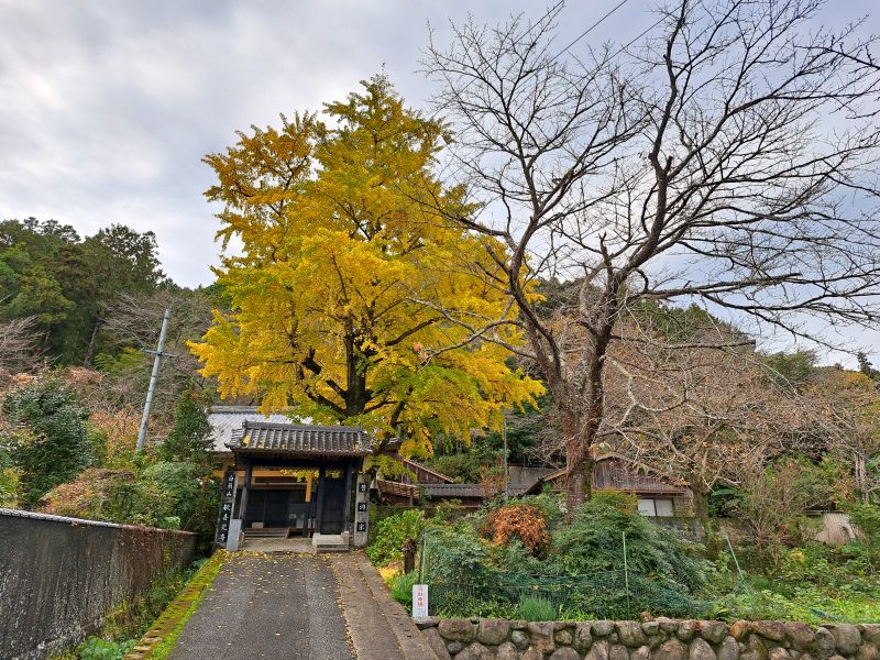 歓喜光寺