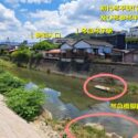 琴急橋脚跡_配置考察
