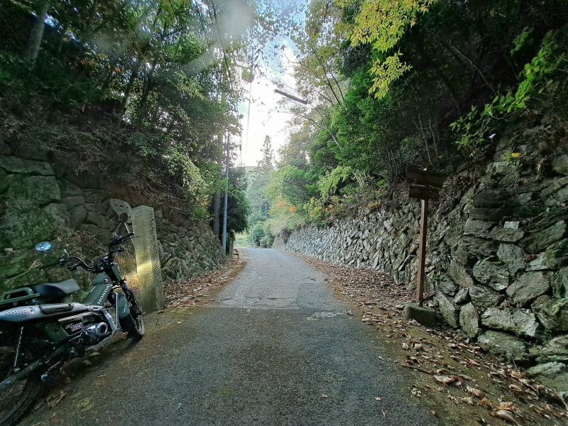 愛媛徳島県境境目峠_境界石_立地