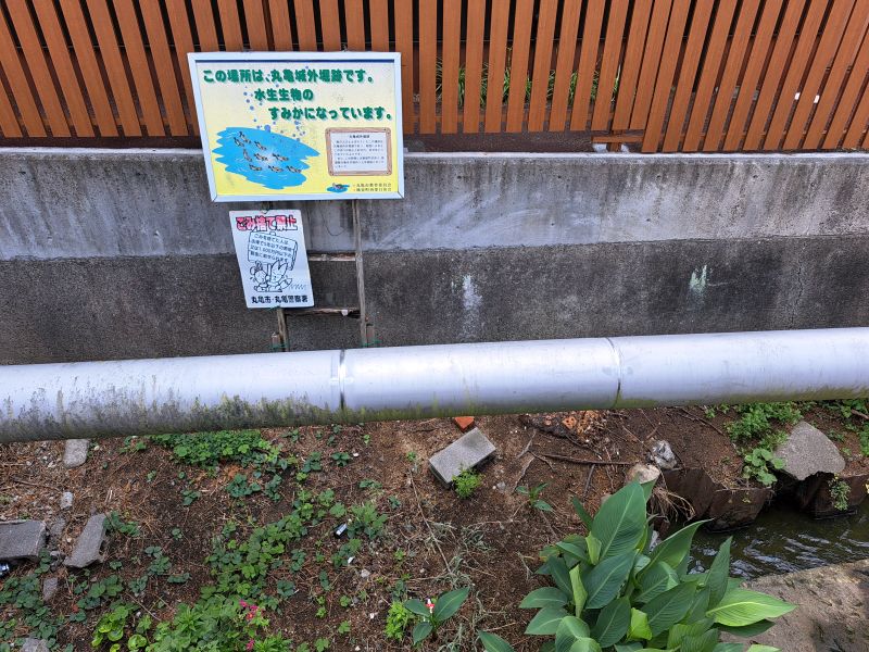 土居橋_水路_地表
