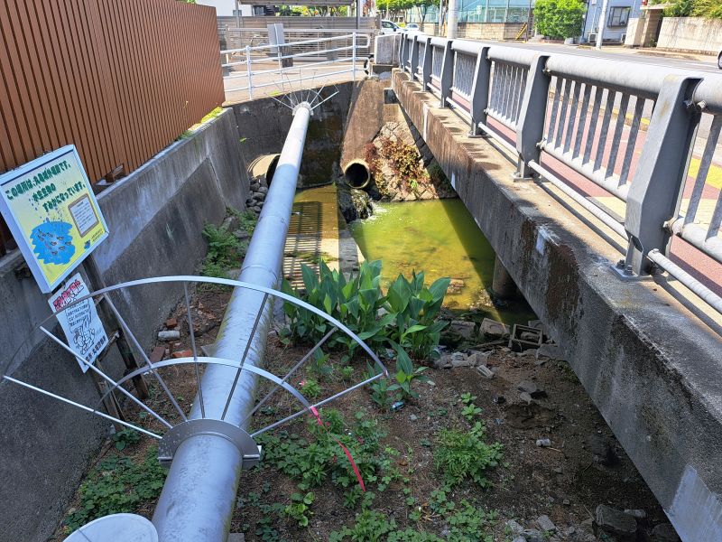 土居橋_水路