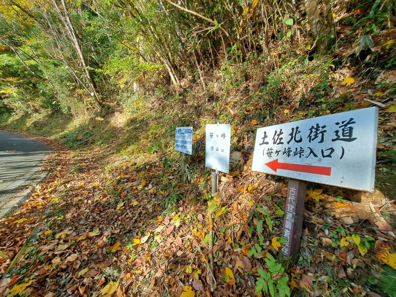 笹ヶ峰_一般道_登山口