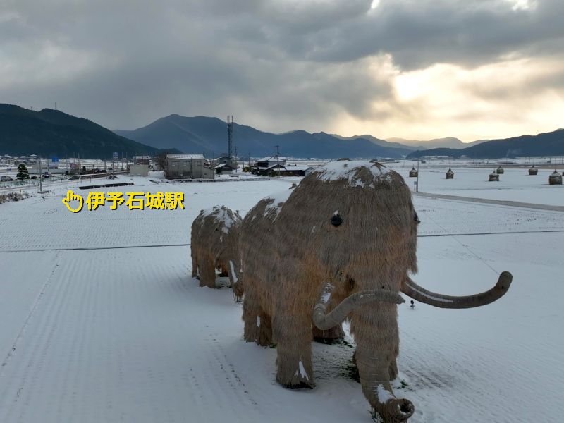 わらマンモス_雪景色_立地