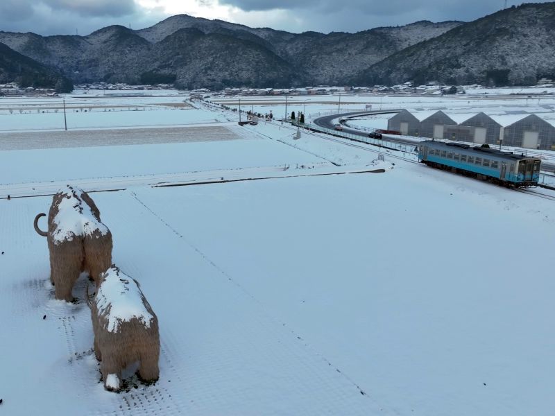わらマンモス_雪景色_JR予讃線