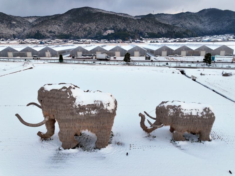 わらマンモス_雪景色_近景