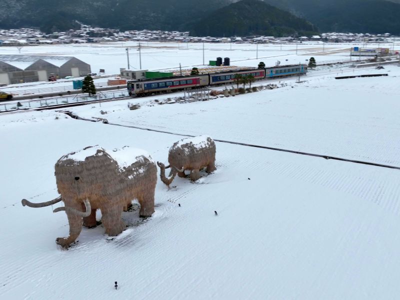 わらマンモス_雪景色_JR予讃線列車通過